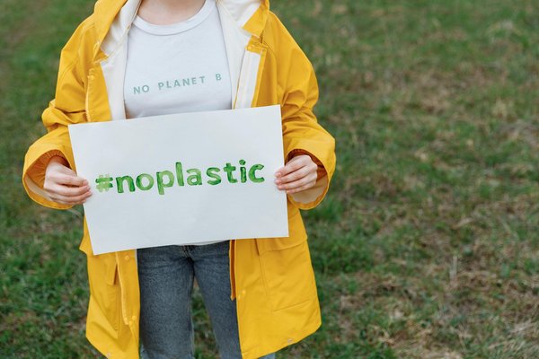 Déménager avec un animal : conseils pour leur bien-être