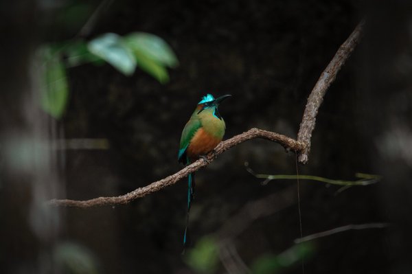 Comment réaliser un court métrage avec un budget limité ?