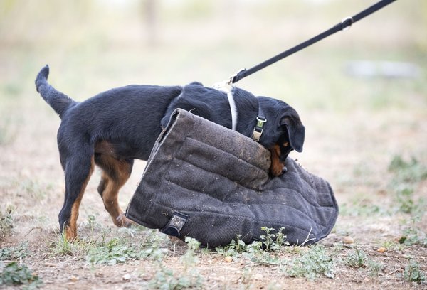 Carte bancaire gratuite pour ados : précautions essentielles